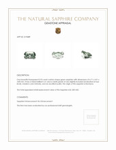 0.93 Ct. Green Sapphire from Montana Appraisal