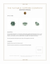 1.13 Ct. Green Sapphire from Montana Appraisal