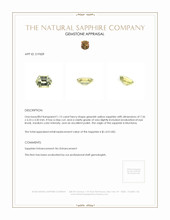 Jewelry Appraisal