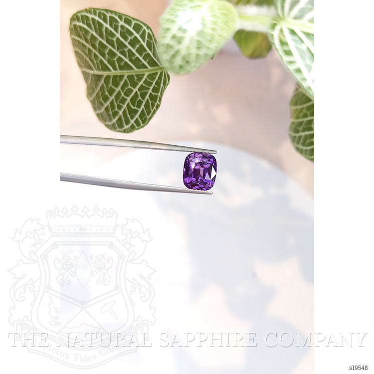 5.13 Ct. Purple Sapphire from Ceylon (Sri Lanka)
