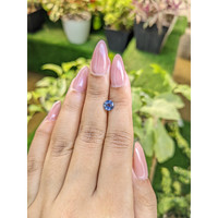 0.99 Ct. Blue Sapphire from Ceylon (Sri Lanka) Life Style