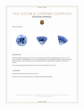 0.70 Ct. Blue Sapphire from Ceylon (Sri Lanka) Appraisal