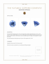 0.70 Ct. Blue Sapphire from Ceylon (Sri Lanka) Appraisal