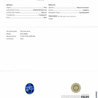 6.51 Ct. Blue Sapphire from Ceylon (Sri Lanka) Scan Report