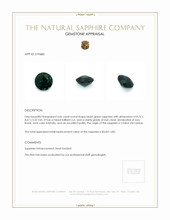 3.06 Ct. Bluish Green Sapphire from Ceylon (Sri Lanka) Appraisal