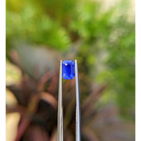 1.52 Ct. Blue Sapphire from Tanzania Life Style