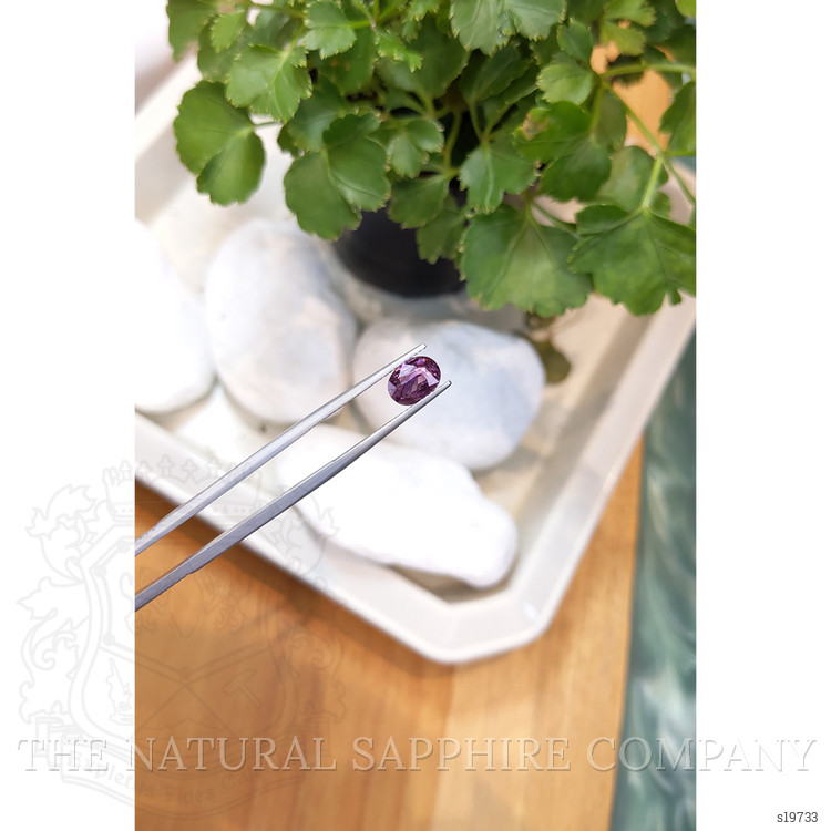 1.58 Ct. Purple Sapphire from Ceylon (Sri Lanka)