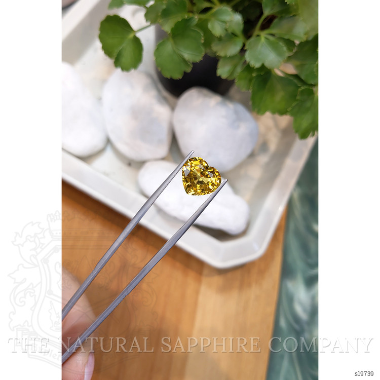 6.84 Ct. Yellow Sapphire from Ceylon (Sri Lanka)