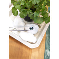 3.12 Ct. Bluish Green Sapphire from Ceylon (Sri Lanka) Life Style