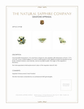 Jewelry Appraisal