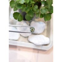 1.93 Ct. Sapphire from Montana Life Style