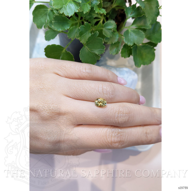 1.78 Ct. Bi Color Sapphire from Montana