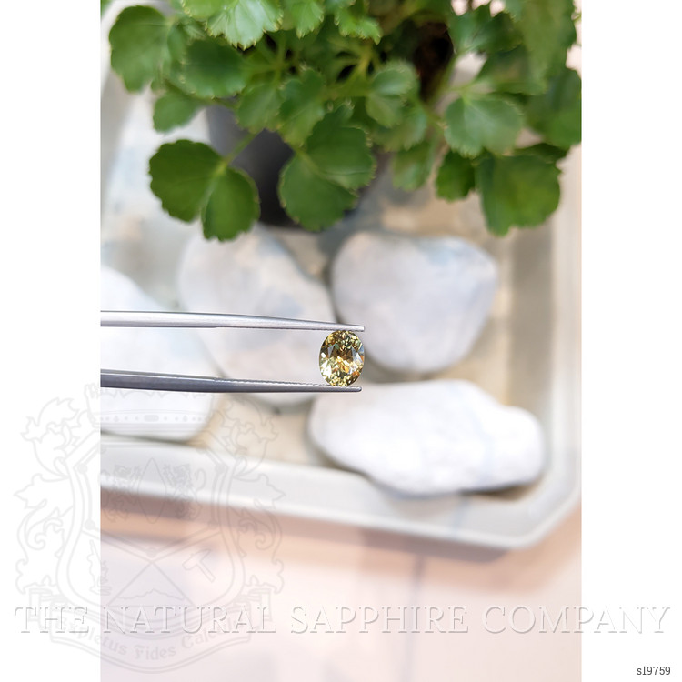 1.78 Ct. Bi Color Sapphire from Montana