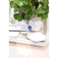 1.24 Ct. Sapphire from Montana Life Style
