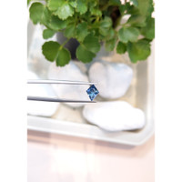1.14 Ct. Blue Sapphire from Montana Life Style