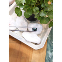 4.04 Ct. Color Change Sapphire from Ceylon (Sri Lanka) Life Style