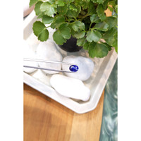 4.01 Ct. Blue Sapphire from Ceylon (Sri Lanka) Life Style