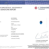 7.52 Ct. Blue Sapphire from Ceylon (Sri Lanka) Scan Report