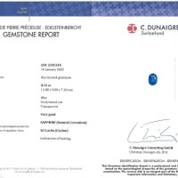 8.15 Ct. Blue Sapphire from Ceylon (Sri Lanka) Scan Report