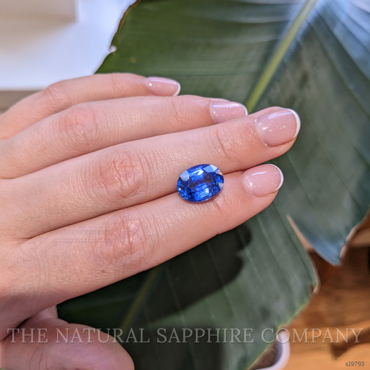 8.15 Ct. Blue Sapphire from Ceylon (Sri Lanka)
