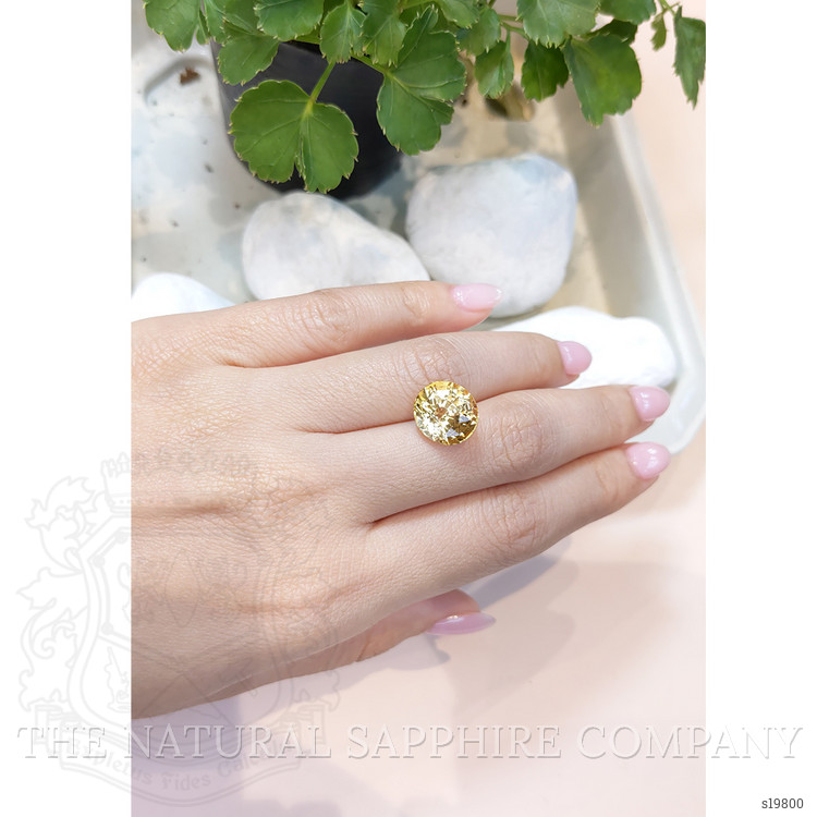 9.12 Ct. Peach Sapphire from Ceylon (Sri Lanka)