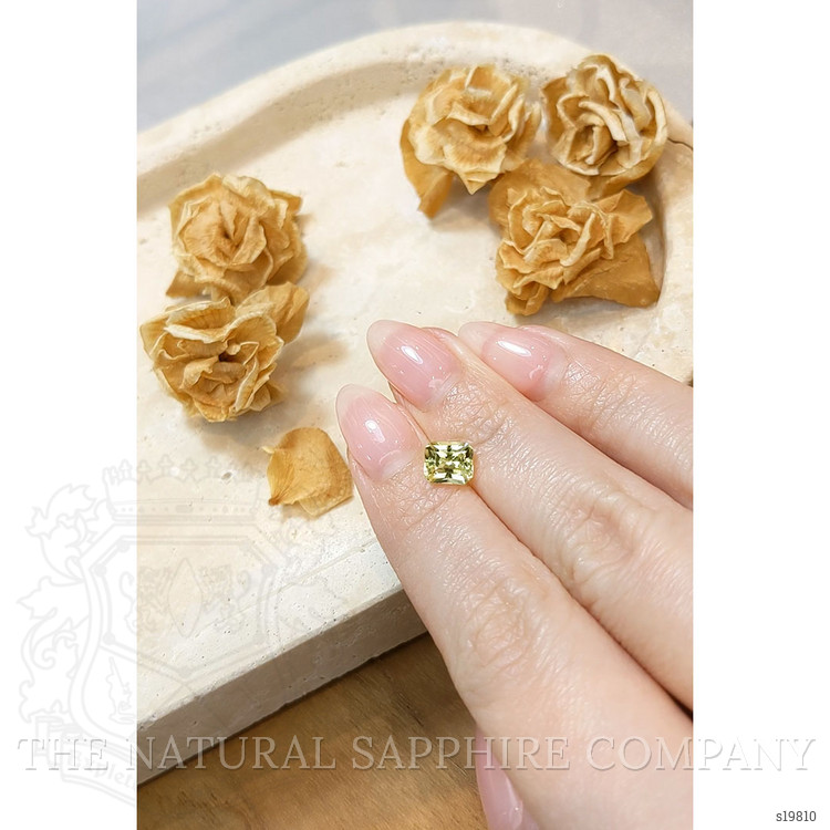 1.69 Ct. Greenish Yellow Sapphire from Ceylon (Sri Lanka)