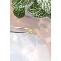 0.80 Ct. Yellow Sapphire from Ceylon (Sri Lanka) Life Style