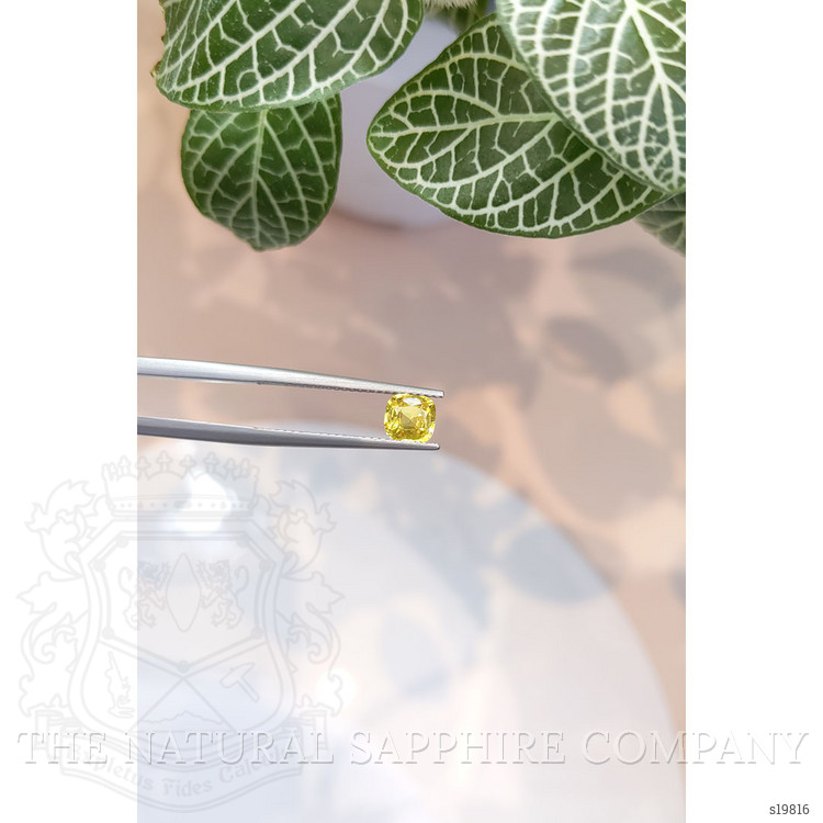 0.80 Ct. Yellow Sapphire from Ceylon (Sri Lanka)
