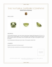1.38 Ct. Green Sapphire from Ceylon (Sri Lanka) Appraisal