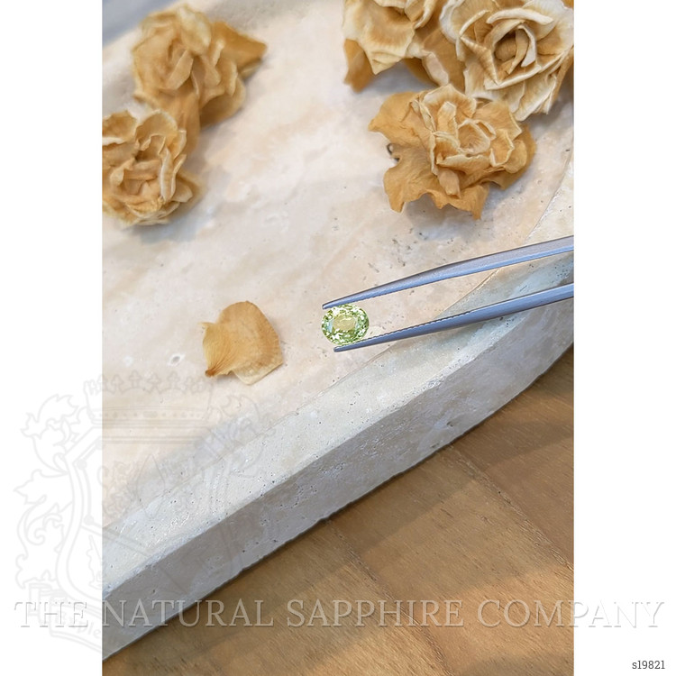 1.37 Ct. Yellowish Green Sapphire from Ceylon (Sri Lanka)