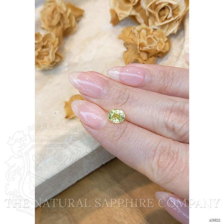 1.37 Ct. Yellowish Green Sapphire from Ceylon (Sri Lanka)