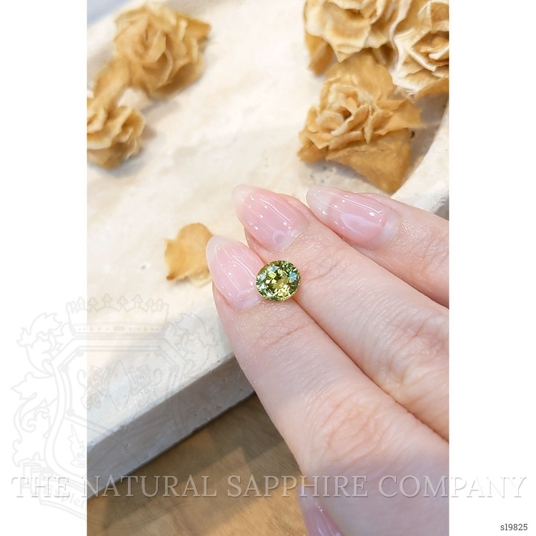 2.09 Ct. Yellowish Green Sapphire from Ceylon (Sri Lanka)