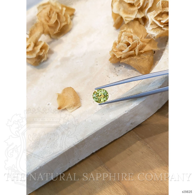 2.09 Ct. Yellowish Green Sapphire from Ceylon (Sri Lanka)