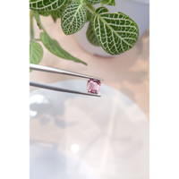 1.64 Ct. Pink Sapphire from Ceylon (Sri Lanka) Life Style