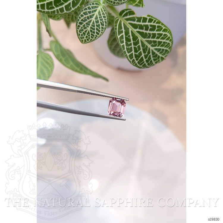 1.64 Ct. Pink Sapphire from Ceylon (Sri Lanka)