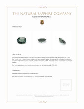 1.40 Ct. Bluish Green Sapphire from Ceylon (Sri Lanka) Appraisal