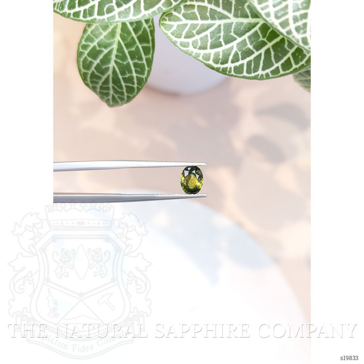 1.16 Ct. Yellowish Green Sapphire from Ceylon (Sri Lanka)