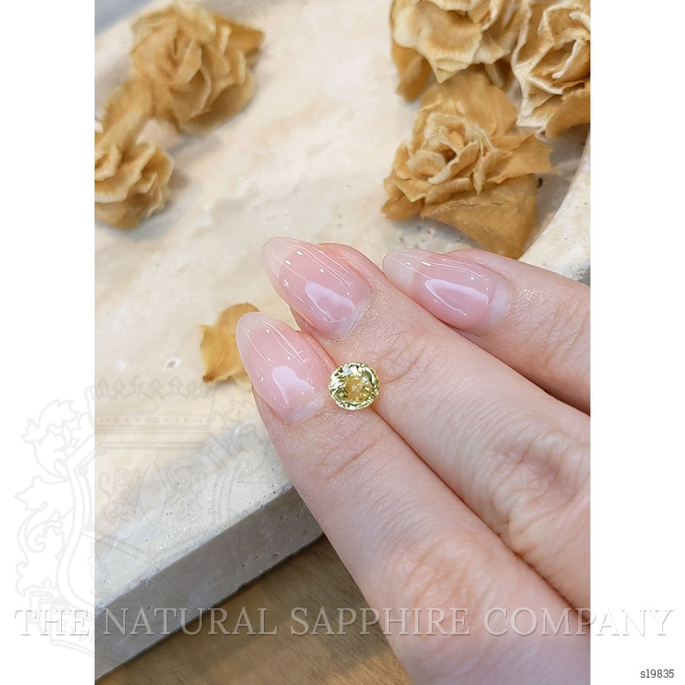 1.69 Ct. Yellow Sapphire from Ceylon (Sri Lanka)