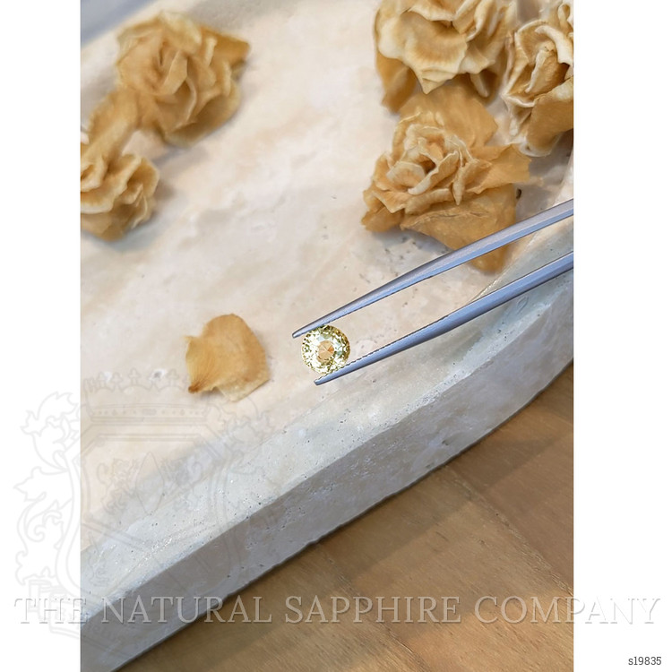 1.69 Ct. Yellow Sapphire from Ceylon (Sri Lanka)