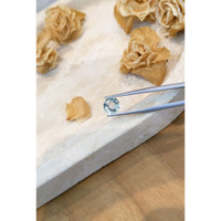 2.69 Ct. Greenish Blue Sapphire from Ceylon (Sri Lanka) Life Style