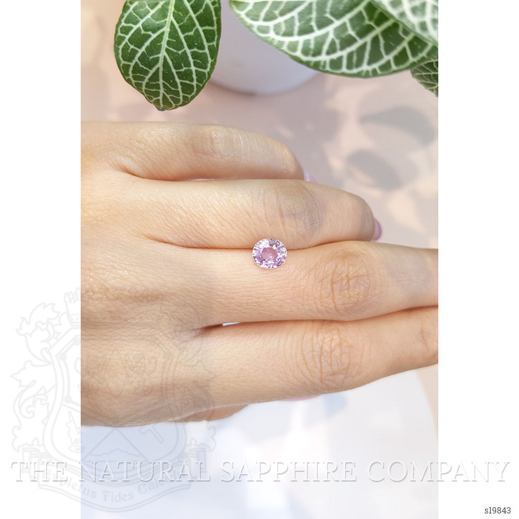 1.37 Ct. Purple Sapphire from Ceylon (Sri Lanka)