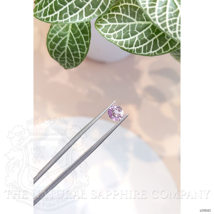 1.37 Ct. Purple Sapphire from Ceylon (Sri Lanka)