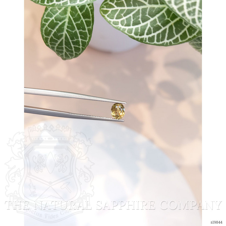 1.09 Ct. Greenish Yellow Sapphire from Ceylon (Sri Lanka)