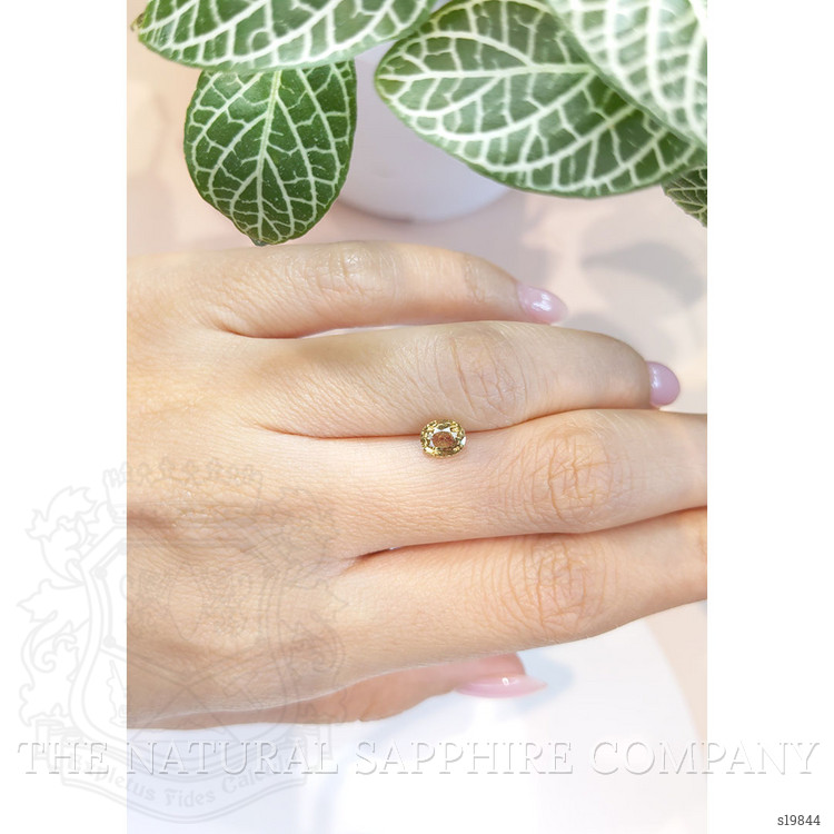 1.09 Ct. Greenish Yellow Sapphire from Ceylon (Sri Lanka)