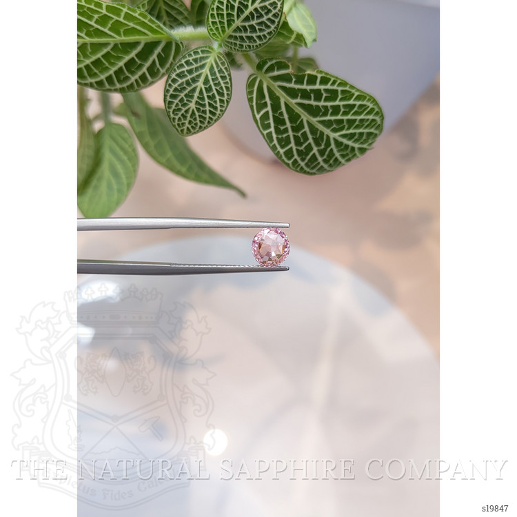 1.24 Ct. Pink Sapphire from Ceylon (Sri Lanka)