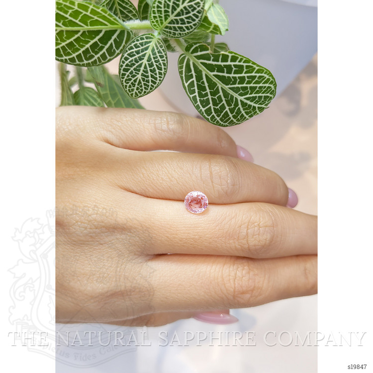 1.24 Ct. Pink Sapphire from Ceylon (Sri Lanka)