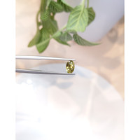1.80 Ct. Greenish Yellow Sapphire from Ceylon (Sri Lanka) Life Style