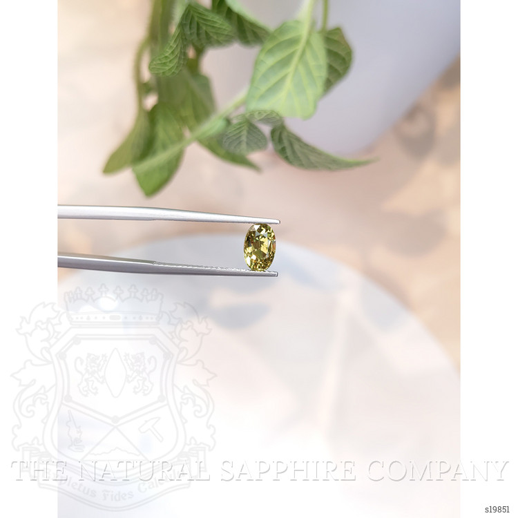 1.80 Ct. Greenish Yellow Sapphire from Ceylon (Sri Lanka)