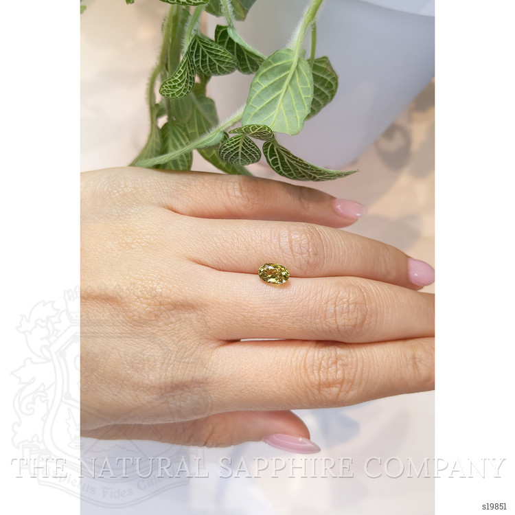 1.80 Ct. Greenish Yellow Sapphire from Ceylon (Sri Lanka)