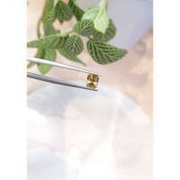 1.50 Ct. Yellowish Brown Sapphire from Ceylon (Sri Lanka) Life Style